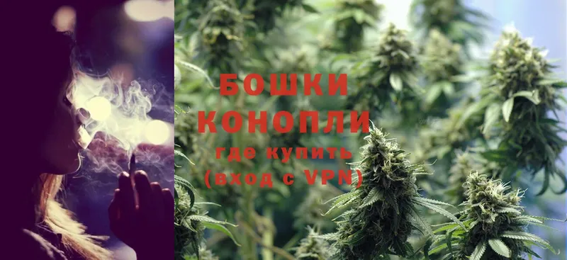 мориарти телеграм  сколько стоит  Трубчевск  Канабис White Widow  МЕГА как войти 